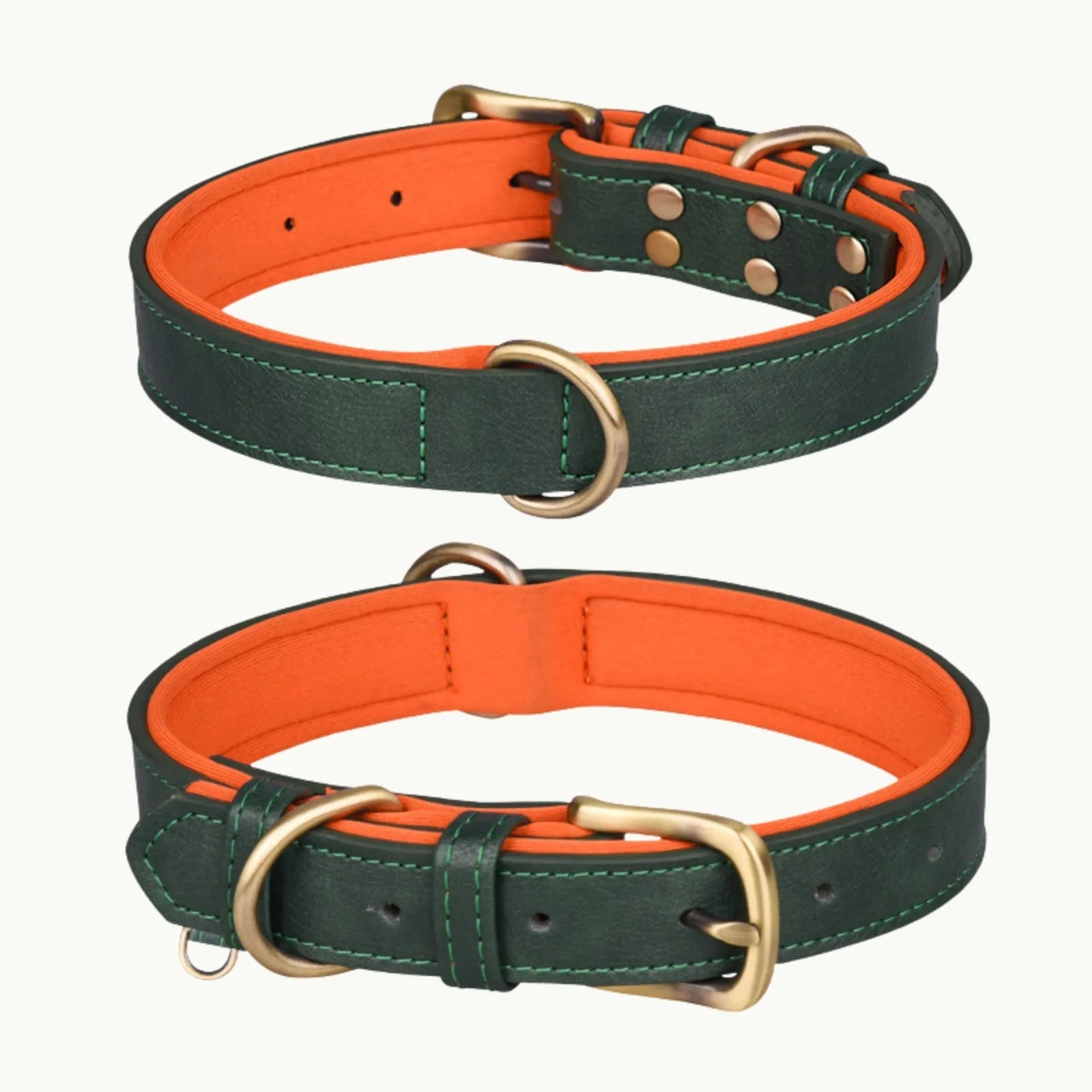 Green faux leather dog collar with orange interior lining and bronze hardware, durable and adjustable design