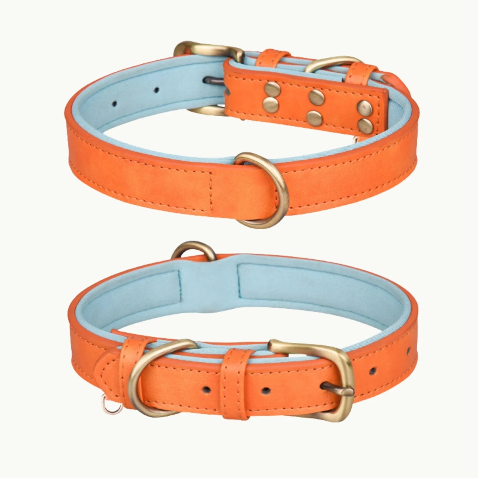 Orange faux leather dog collar with light blue interior lining and bronze hardware, strong and adjustable design