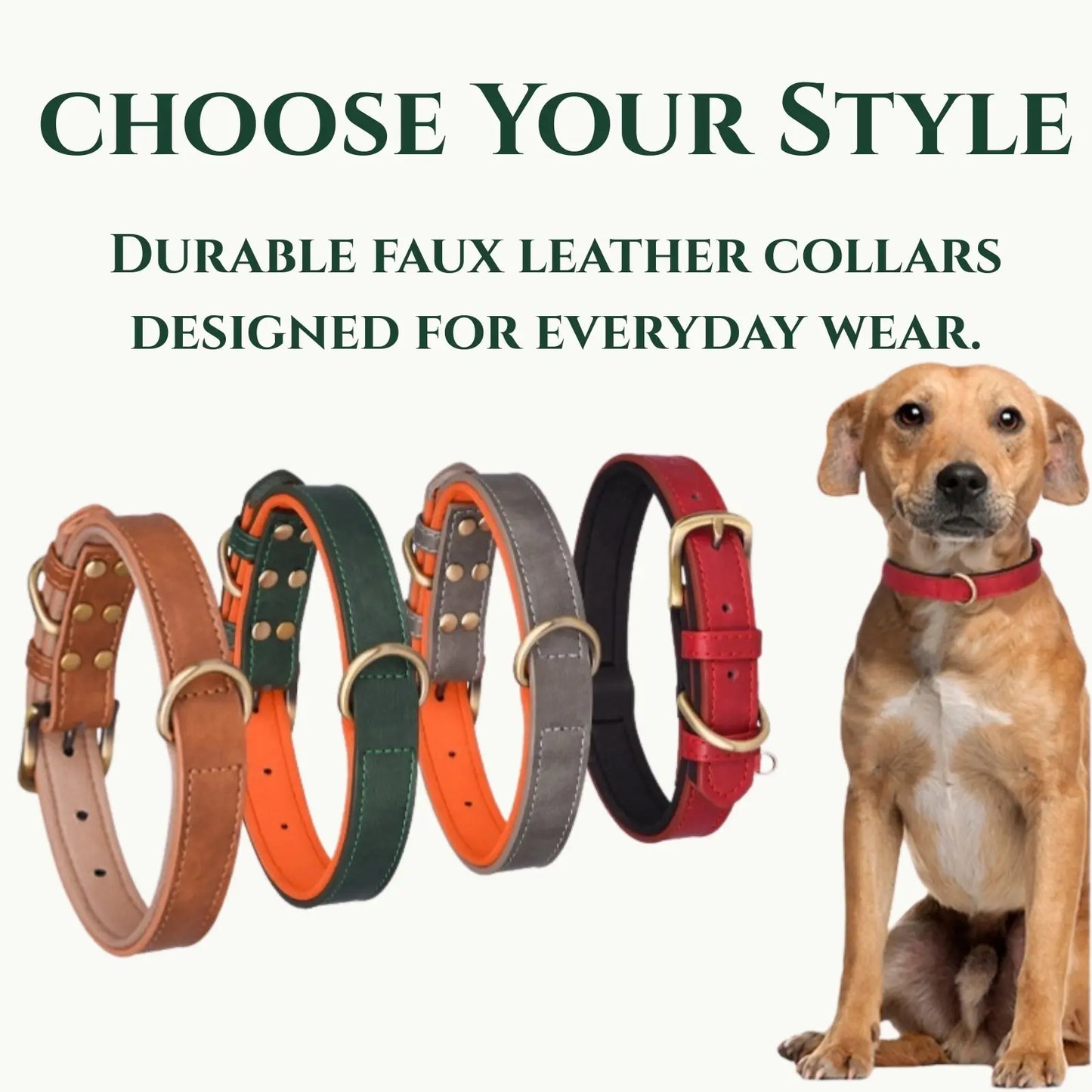 Durable faux leather dog collars in multiple colors with adjustable fit, shown with dog wearing red collar