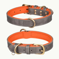 Grey-Orange