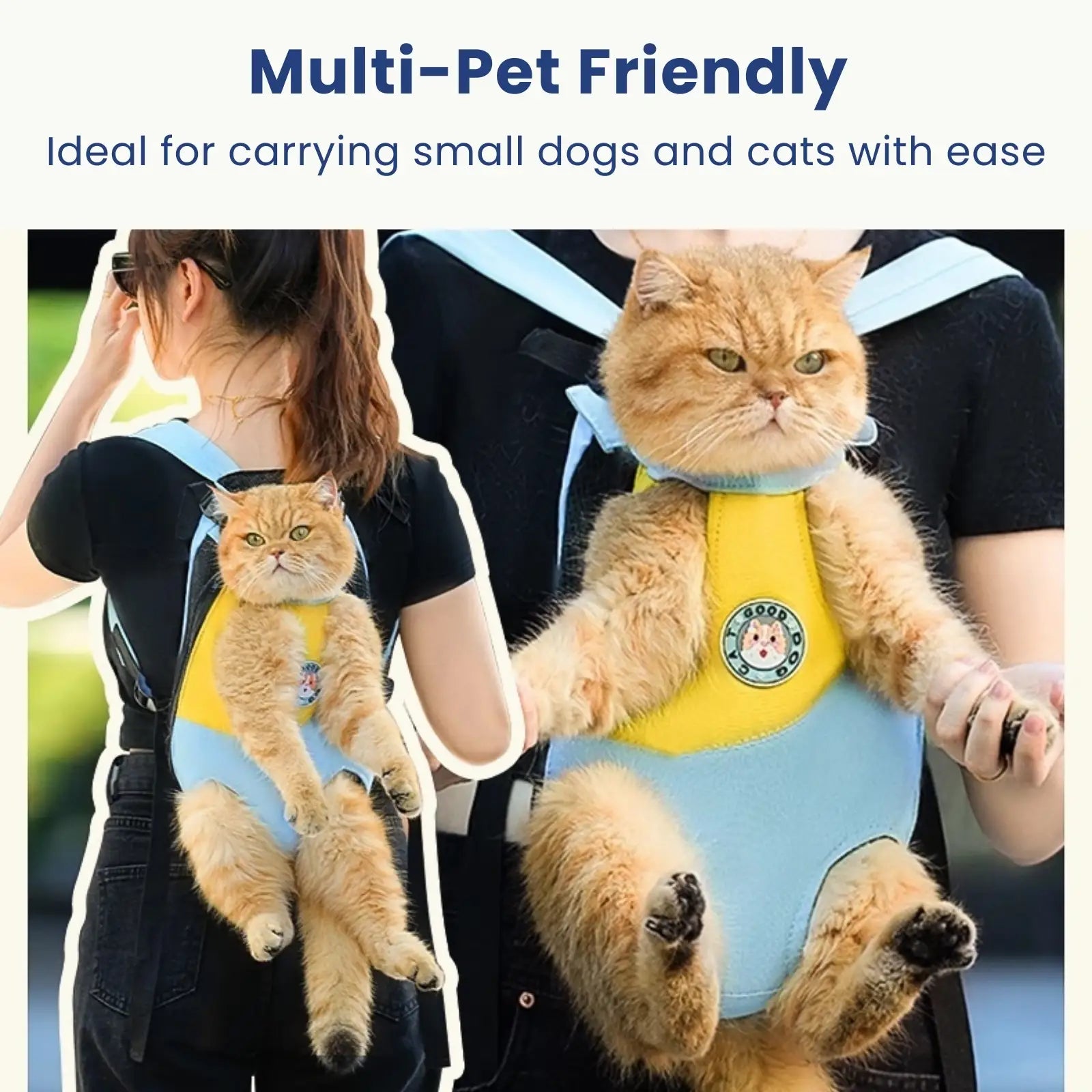 Pet carrier backpack for small dogs and cats with ergonomic straps