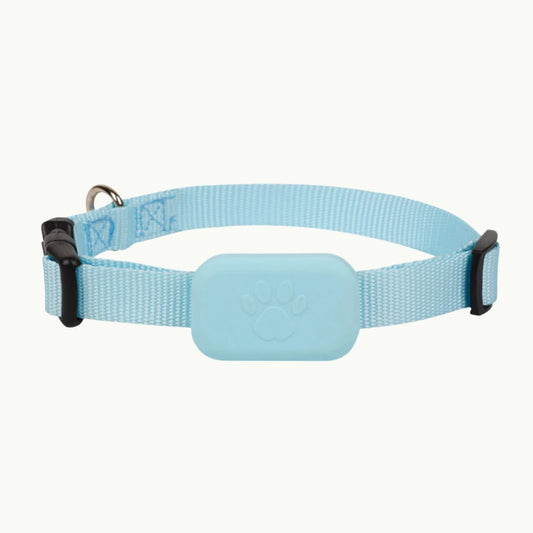 Pet GPS tracking collar in light blue with adjustable strap