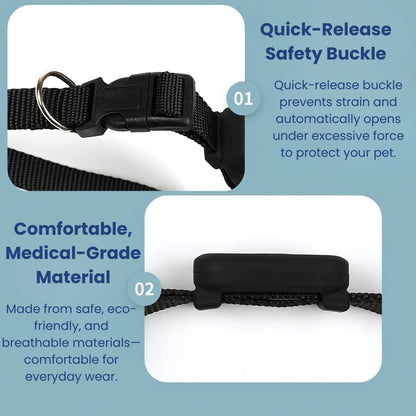 Waterproof pet GPS collar suitable for swimming and outdoor adventures