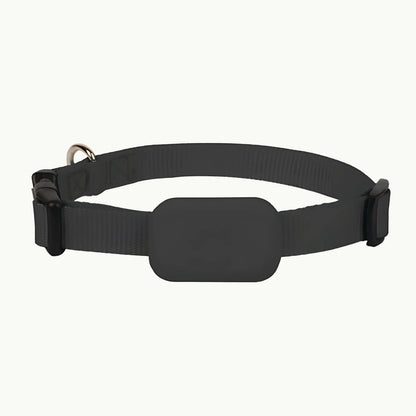 Pet GPS tracking collar in black with adjustable strap