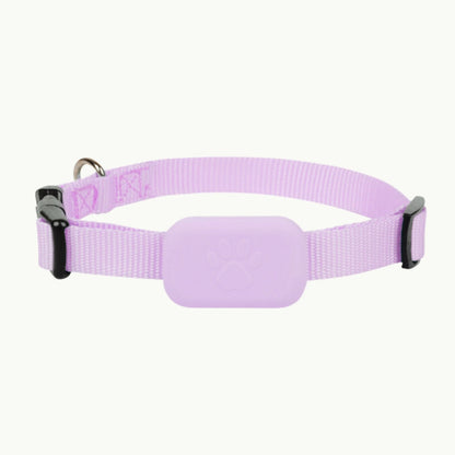 Pet GPS tracking collar in pink with adjustable strap