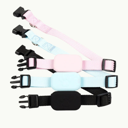 Pet GPS collars in multiple colors including blue, pink and black