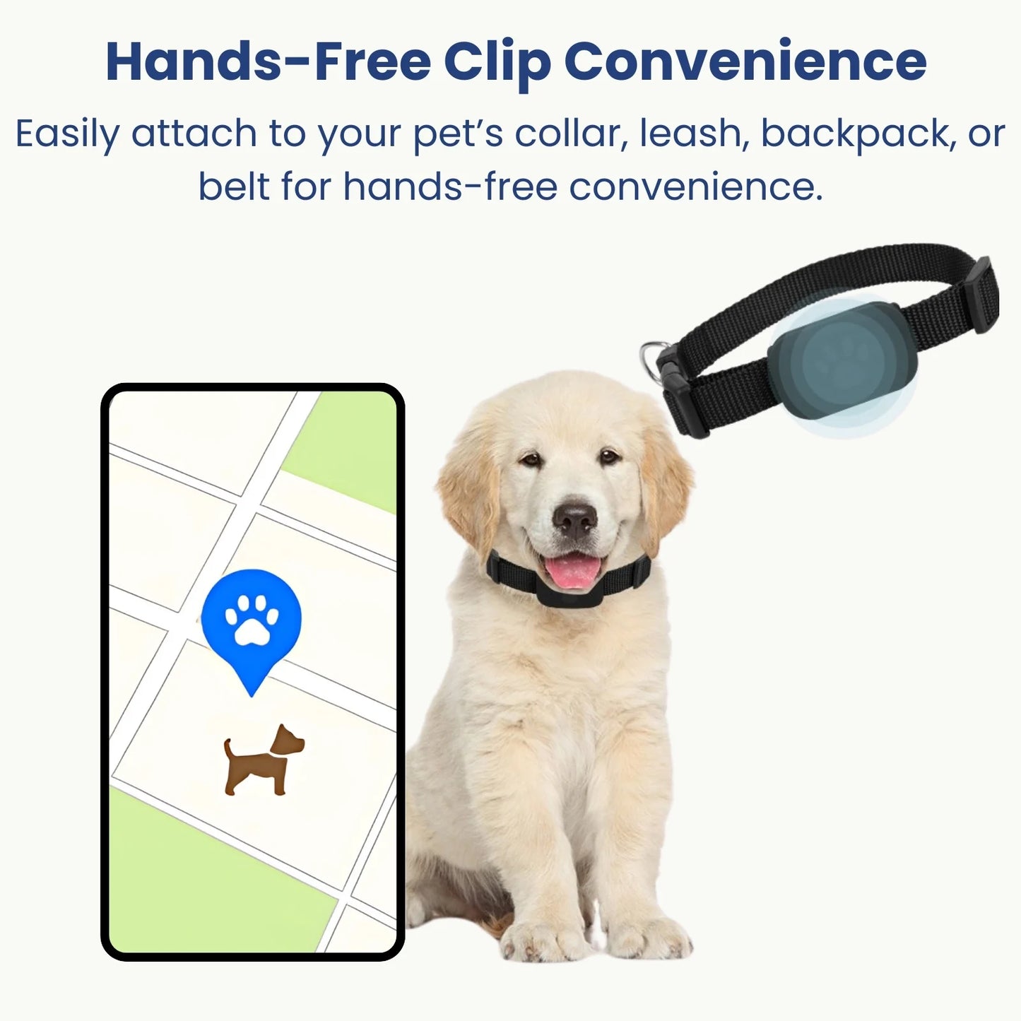 Dog wearing GPS tracking collar with Find My network connection