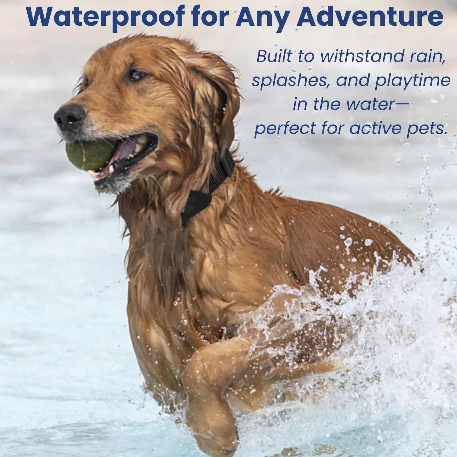 Waterproof pet GPS collar suitable for swimming and outdoor adventures