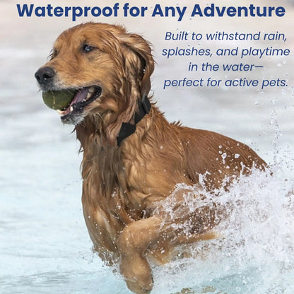 Waterproof pet GPS collar suitable for swimming and outdoor adventures