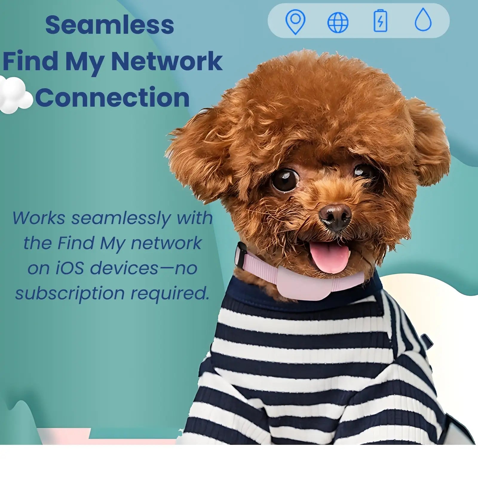 Pet GPS collar connected to Find My network for real-time tracking