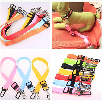 Dog secured in car with LookPaw™ adjustable safety seat belt harness