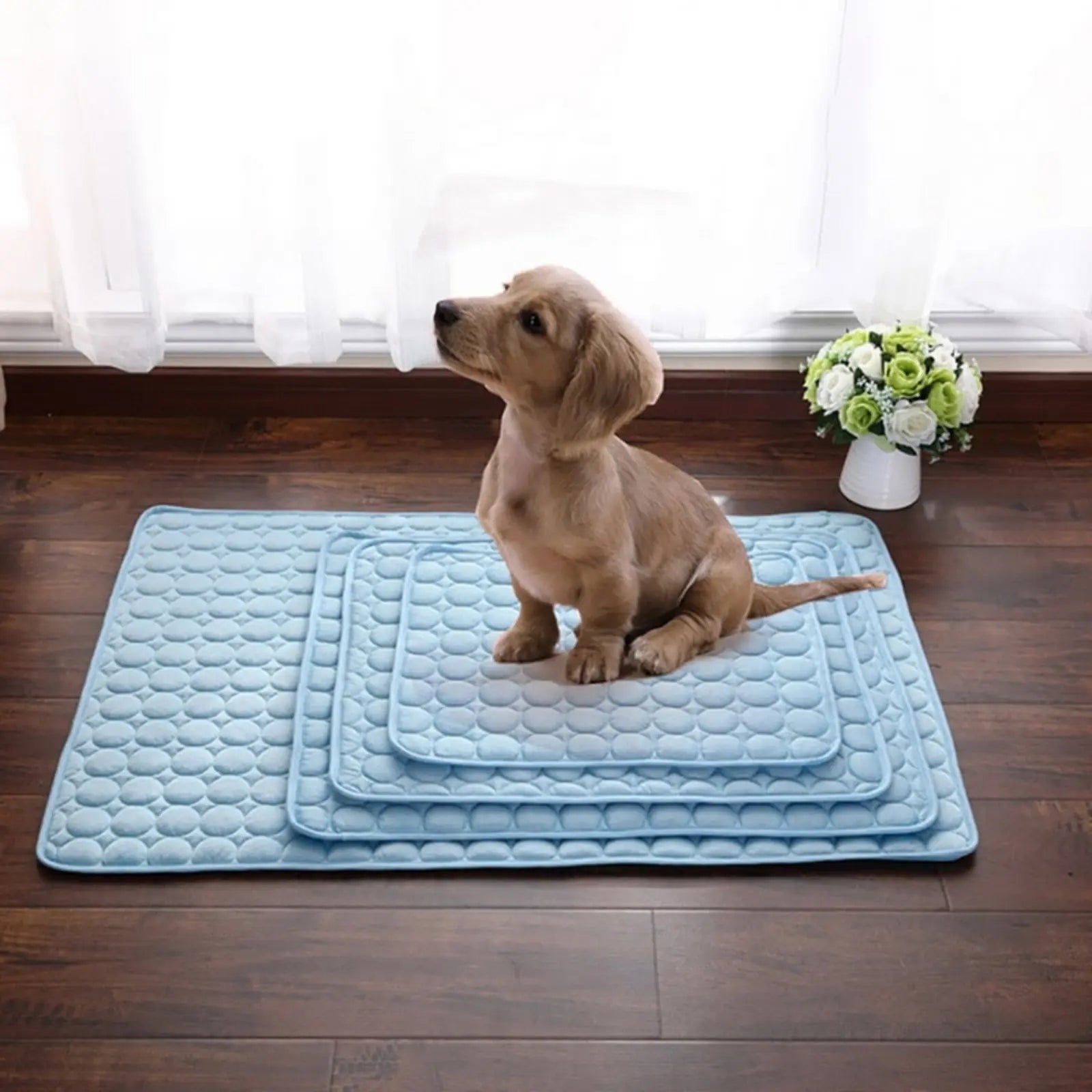 Small dog sitting on ChillPaw cooling mat for pets