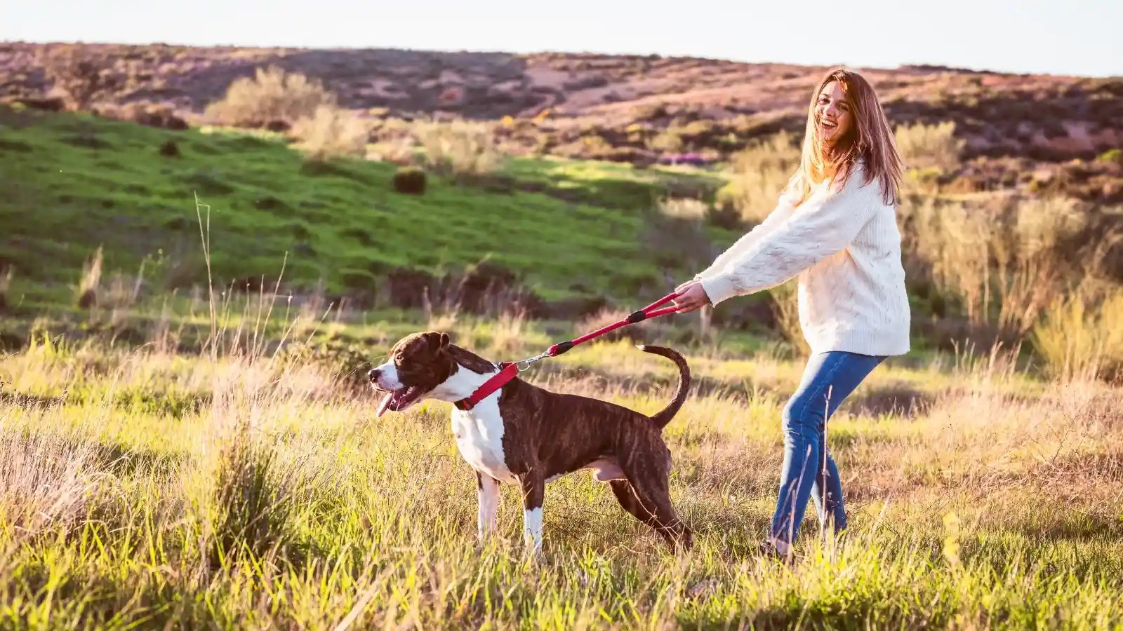 Happy woman walking her dog with a red leash in a grassy field during sunset.