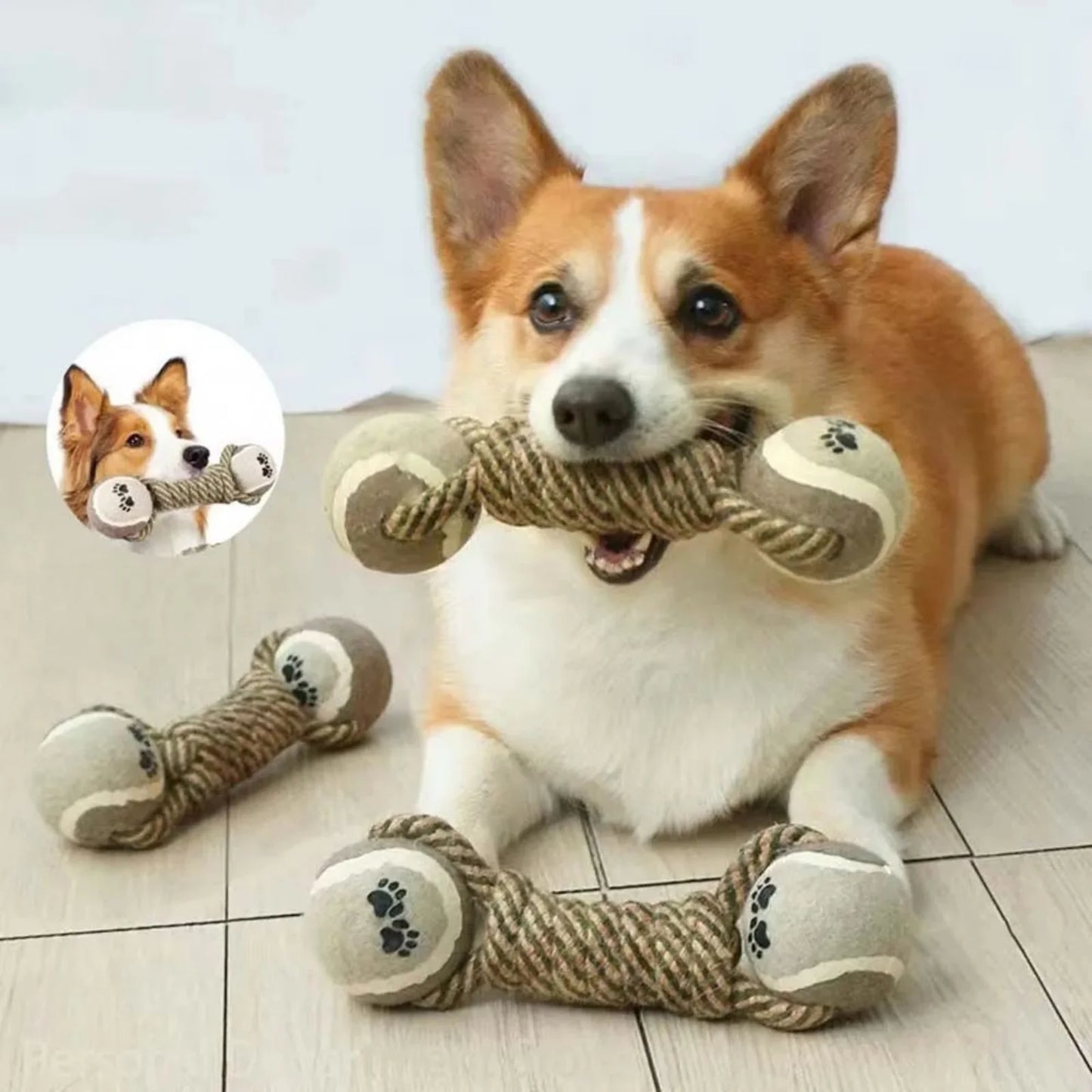 Dog playing with LookPaw™ rope dumbbell chew toy