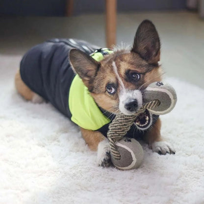 Small dog chewing LookPaw™ durable rope dumbbell toy