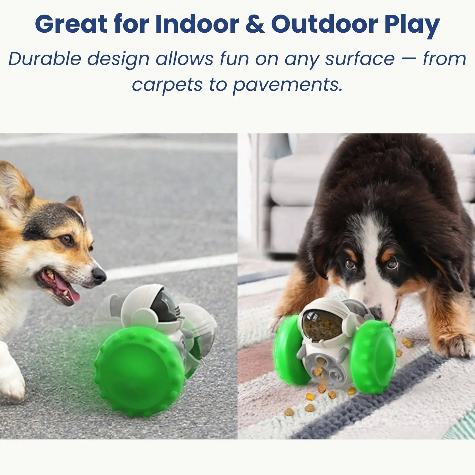 Dogs playing with interactive feeder toy for indoor and outdoor fun
