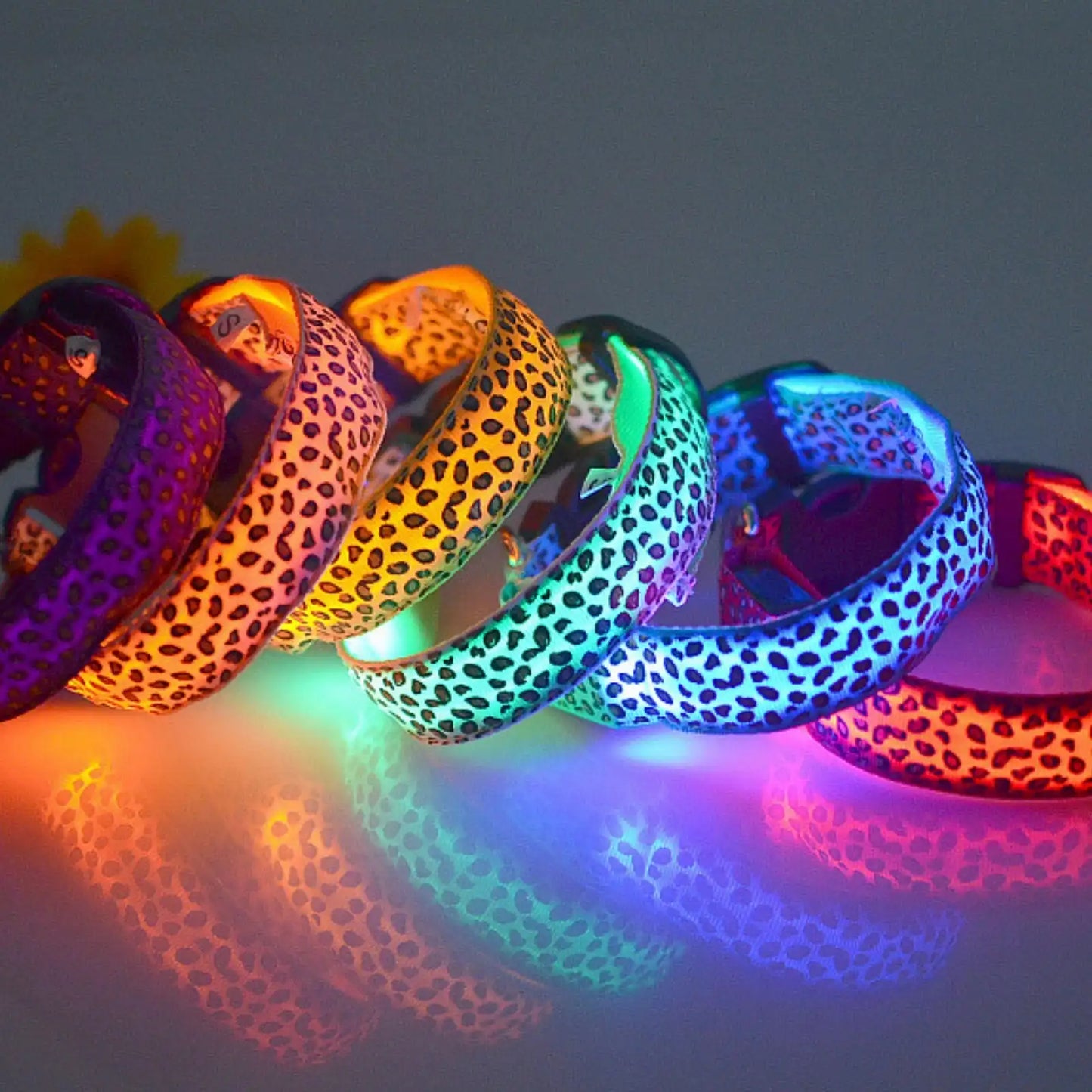 GlowGuard LED dog collars glowing in multiple colors for night safety