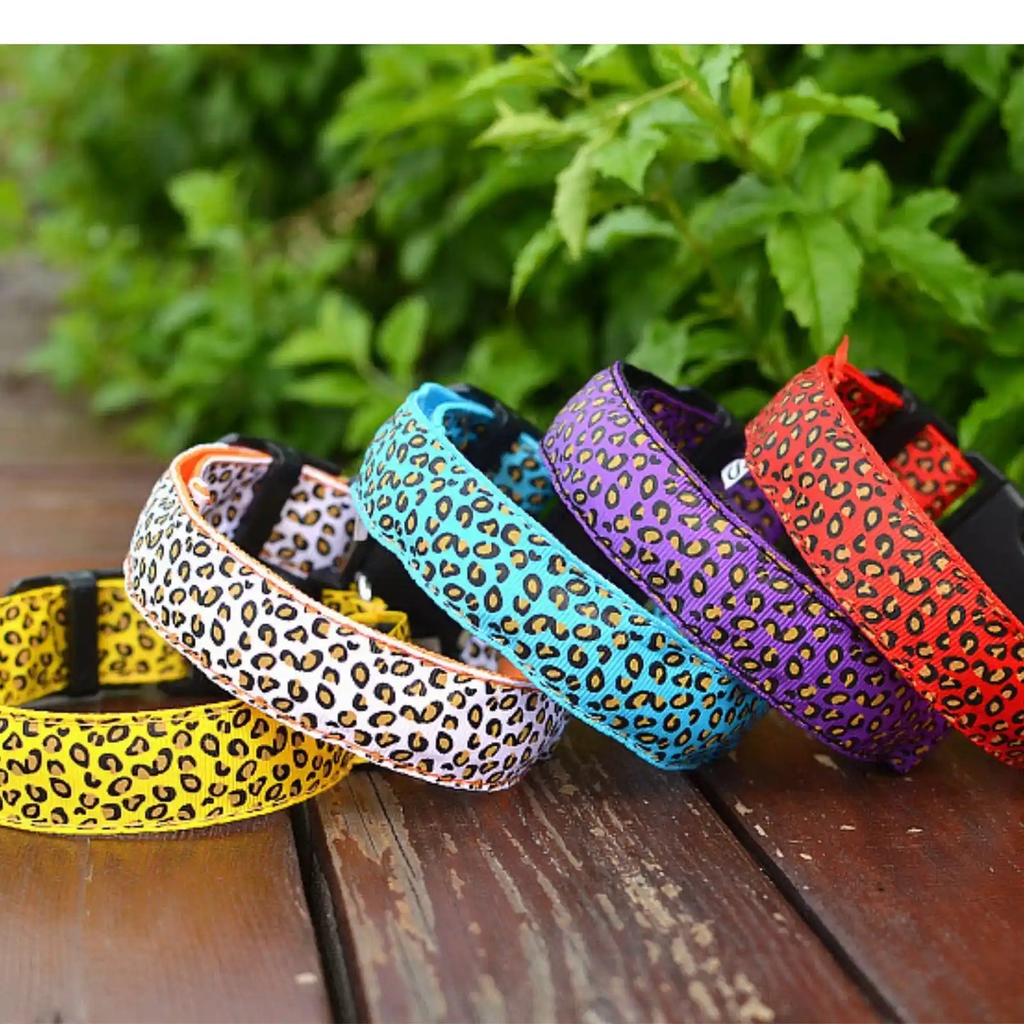 Set of GlowGuard LED dog collars in different colors displayed on wood in different angle