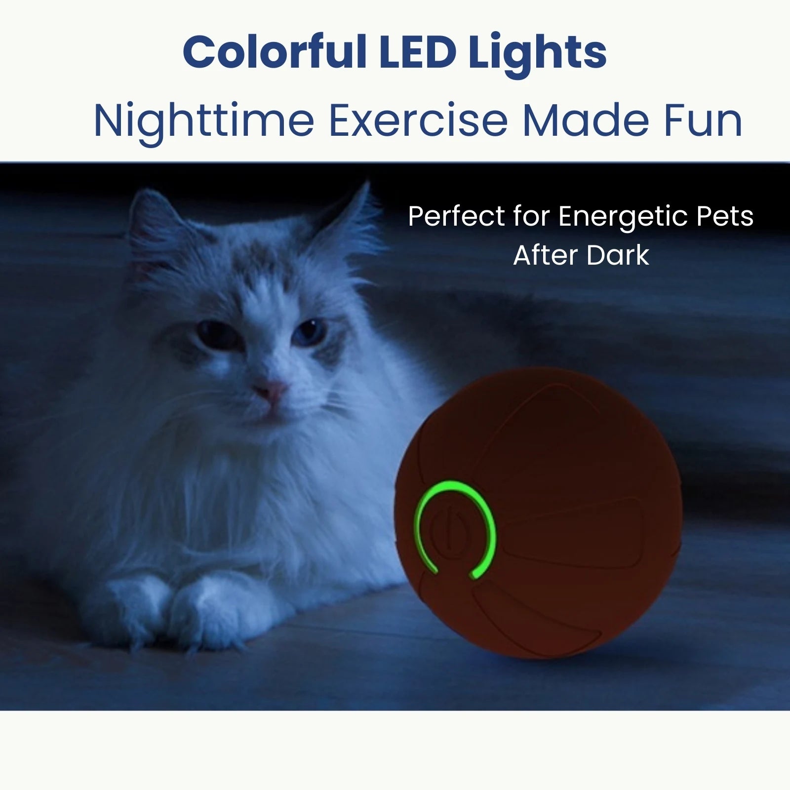 Cat playing with LookPaw™ rechargeable LED pet ball at night with colorful lights