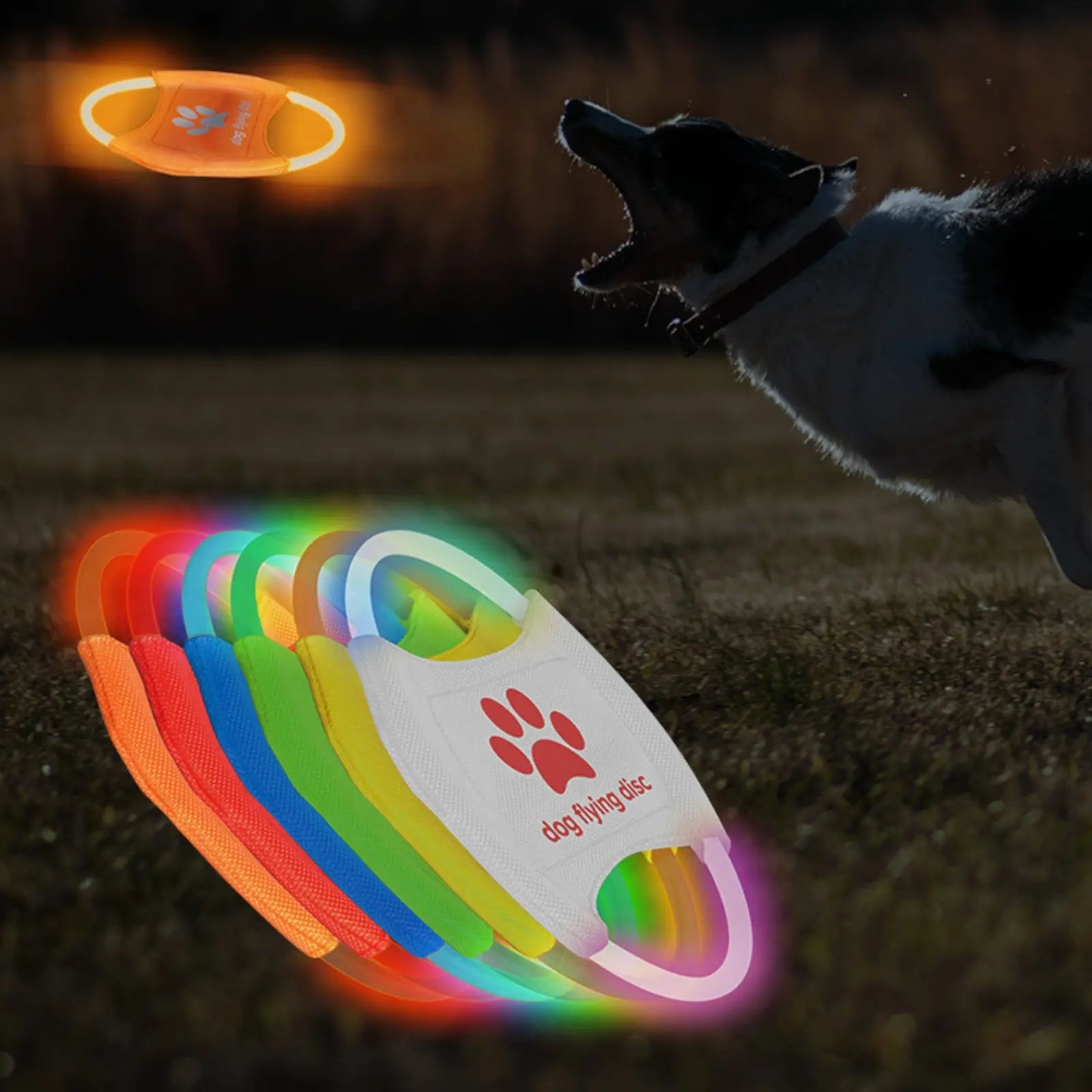 Dog jumping to catch rechargeable LED flying disc during outdoor play