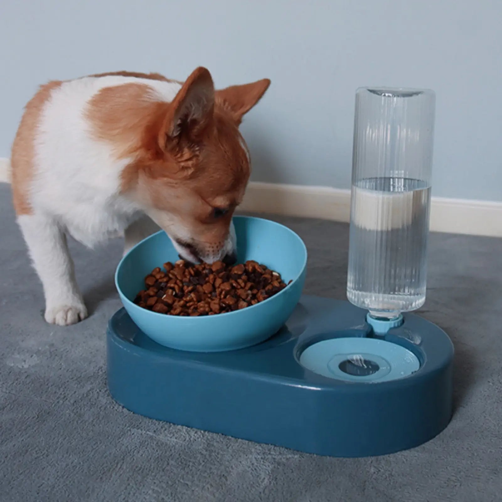 Dog eating from PawSip 2-in-1 water and food bowl set