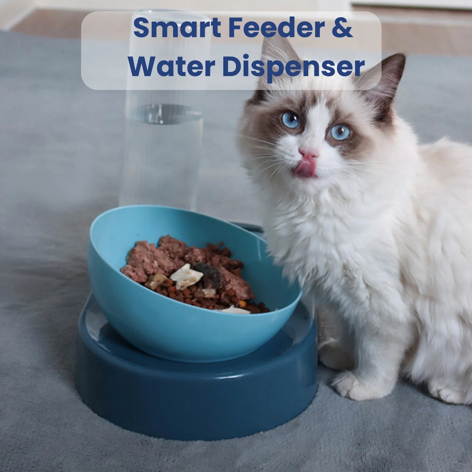 Cat using PawSip smart feeder and water dispenser bowl