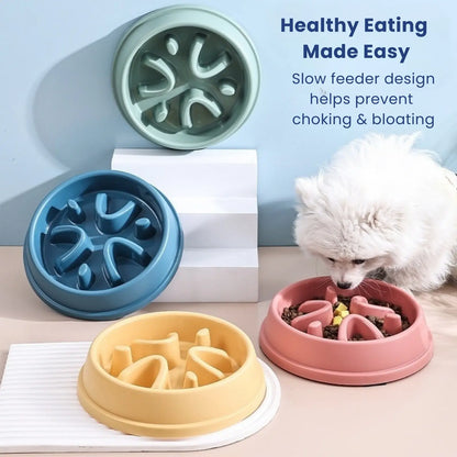 Set of LookPaw™ Slow Feeder Bowls in green, blue, and yellow for dogs and cats