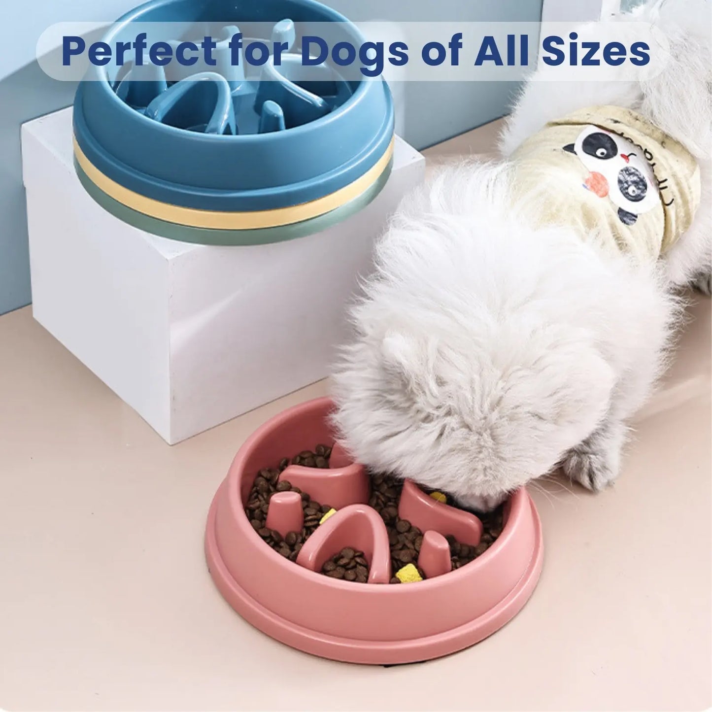 Small dog using yellow LookPaw™ Slow Feeder Bowl, ideal for all pet sizes
