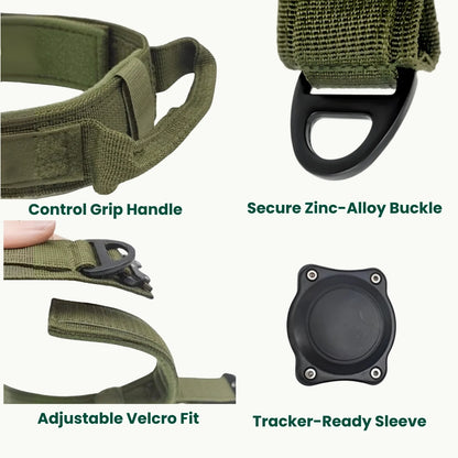 Close-up of zinc alloy buckle on TrailGuard GPS-ready dog collar